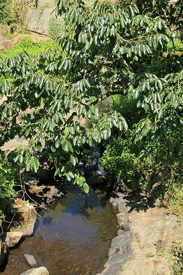 e0190885_2027776.jpg