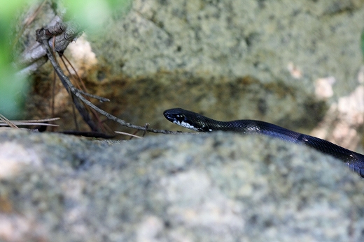 e0190885_20283379.jpg