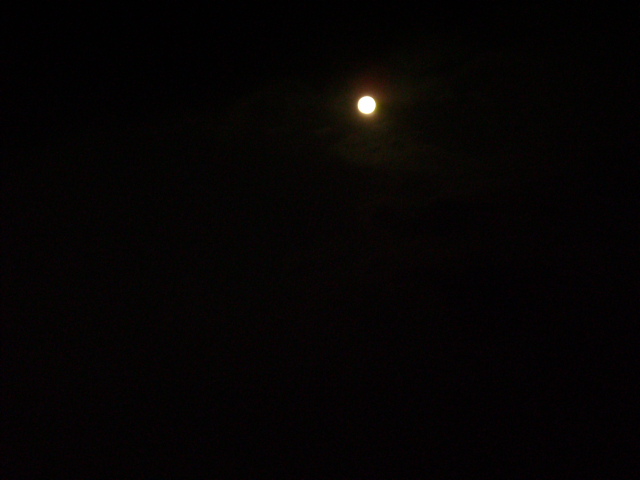 e0174586_22511195.jpg