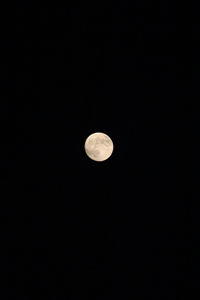 e0051888_545598.jpg