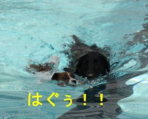 e0121589_2074816.jpg