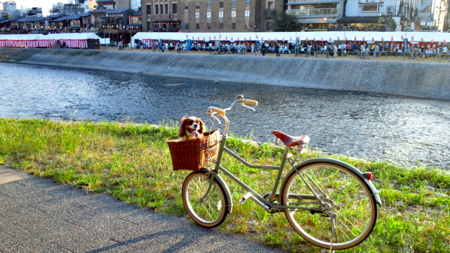 a0079292_13462551.jpg