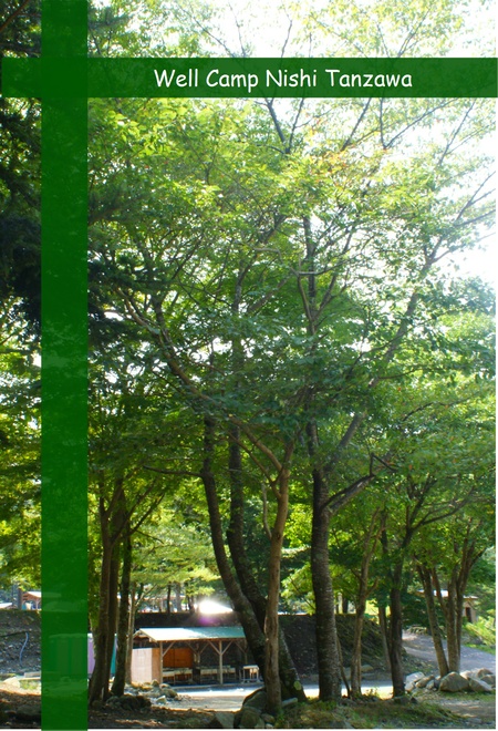 c0221894_2295557.jpg