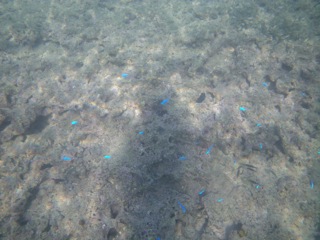 c0193396_1028546.jpg