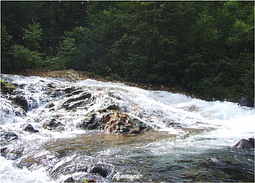 e0035597_22354234.jpg