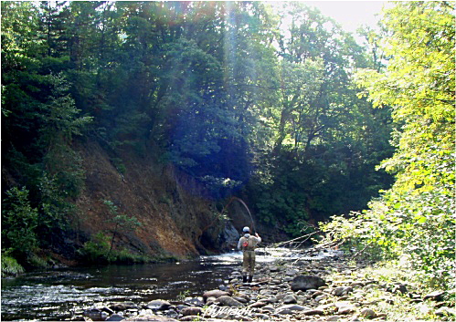 e0035597_2320497.jpg