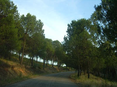 e0061699_8205618.jpg