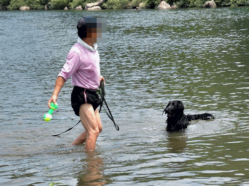 f0176499_9214551.gif