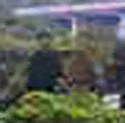 e0103408_16584852.gif