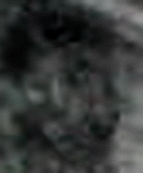 e0103408_16591711.gif