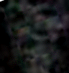 e0103408_16594527.gif