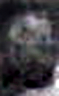 e0103408_1703585.gif