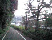 e0103408_17102128.gif