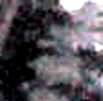 e0103408_1713660.gif
