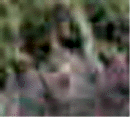 e0103408_1714959.gif