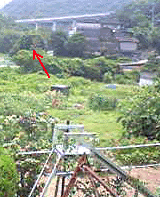 e0103408_1794462.gif