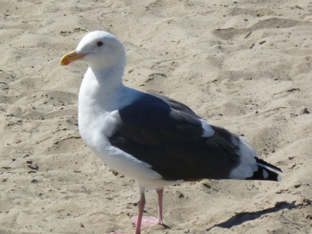 a0144811_8114681.jpg