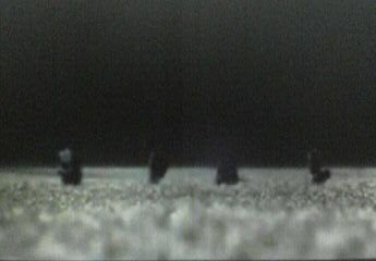 f0135623_20492043.jpg