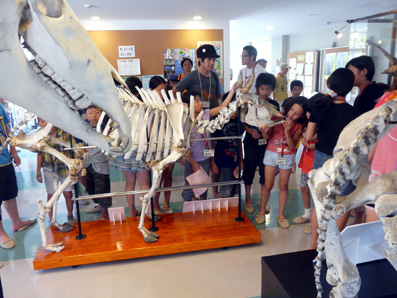 e0118827_15553640.jpg