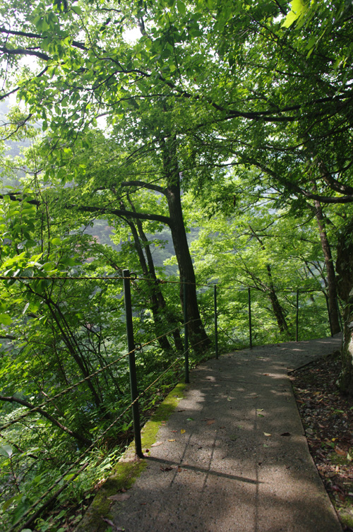 c0077129_0114787.jpg