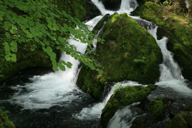 f0017530_2071523.jpg