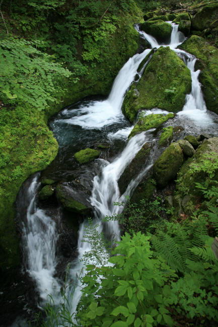 f0017530_208217.jpg