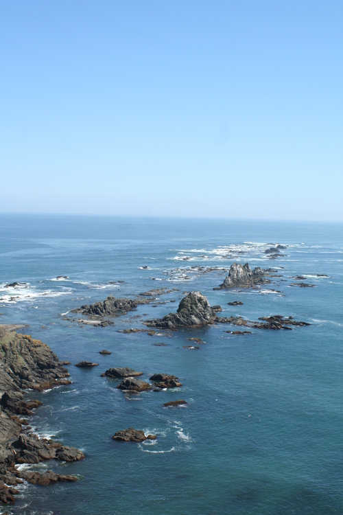 b0085331_2223724.jpg
