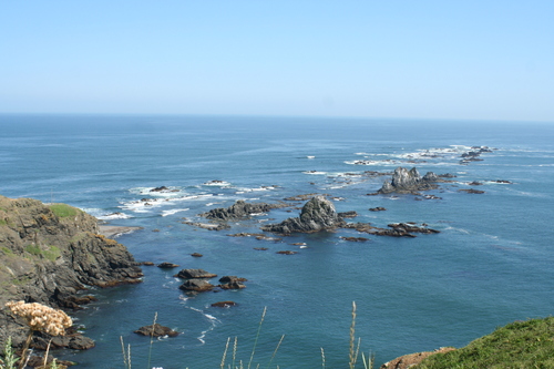 b0085331_22241199.jpg