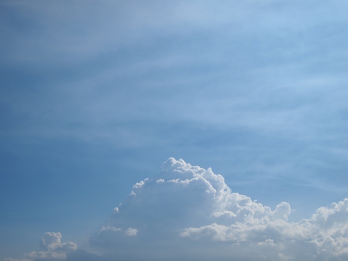 a0146442_748293.jpg