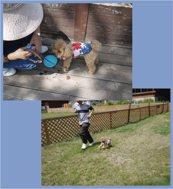 b0182846_12343396.gif