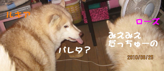 e0121548_2125456.jpg