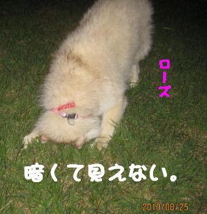 e0121548_21305567.jpg