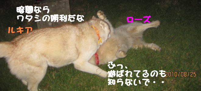 e0121548_2159949.jpg