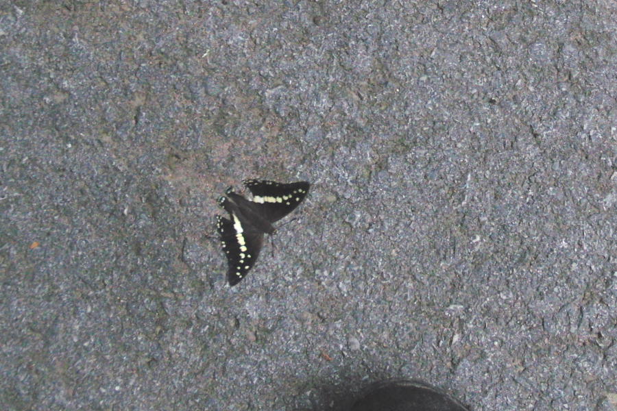 a0094850_14225320.jpg
