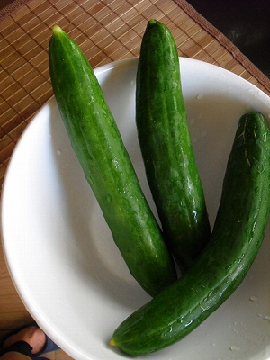 f0009451_15523376.jpg