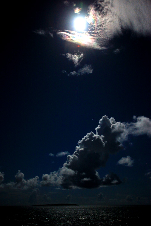 b0049152_9192091.jpg