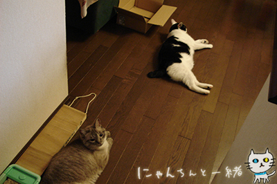 e0031853_2327014.jpg