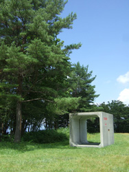 c0011862_16112375.jpg
