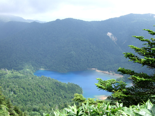 c0011862_16245632.jpg