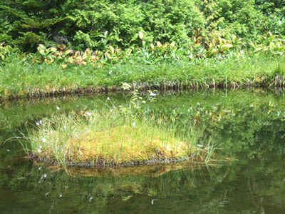 c0011862_16254155.jpg