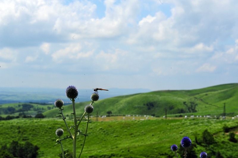 b0131167_1142177.jpg