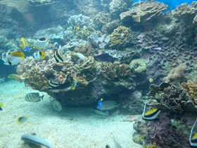 f0016868_2222530.jpg