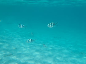f0016868_22232312.jpg