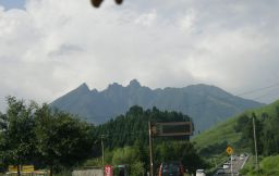 c0042869_16951.jpg
