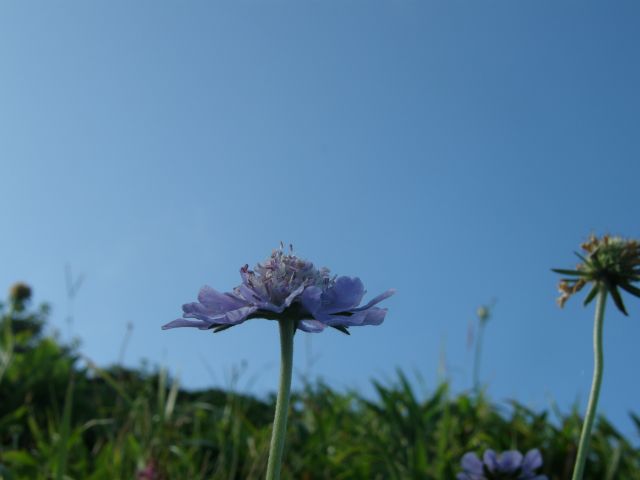 c0042869_2027483.jpg