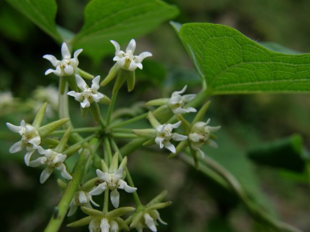 c0042869_90361.jpg