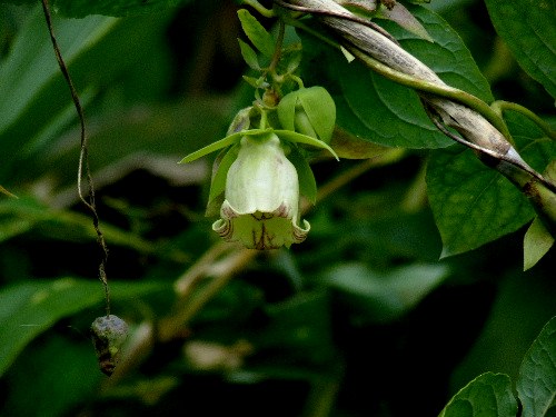 d0084473_20132895.jpg