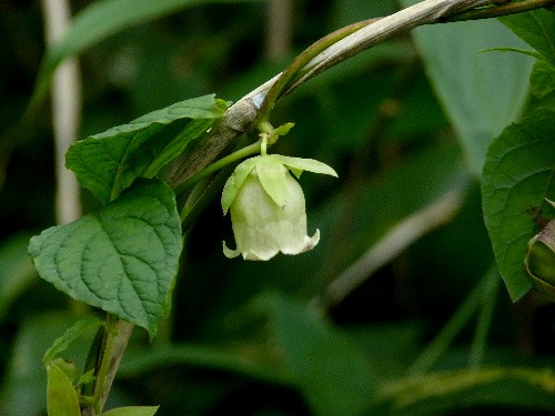 d0084473_20134140.jpg