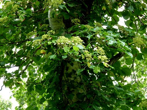 d0084473_2014981.jpg