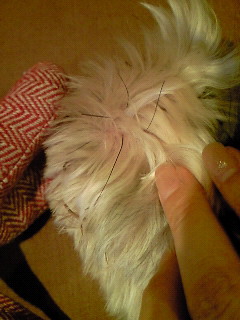 f0155381_15595628.jpg